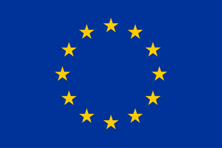 European Union Flag